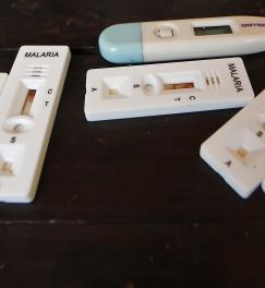 Malaria rapid diagnostic tests